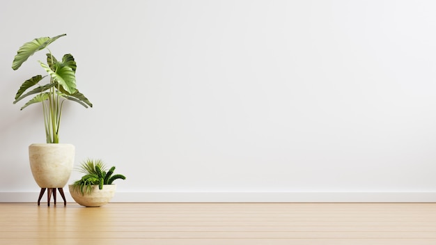 Mur blanc salle vide avec des plantes sur un sol, rendu 3d