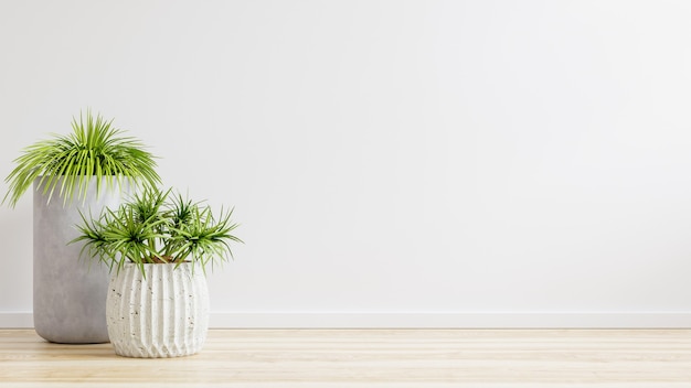 Mur blanc salle vide avec des plantes sur un sol, rendu 3d