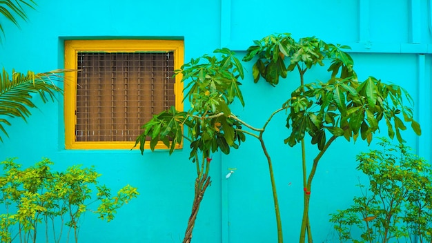 Mur bleu avec des arbres