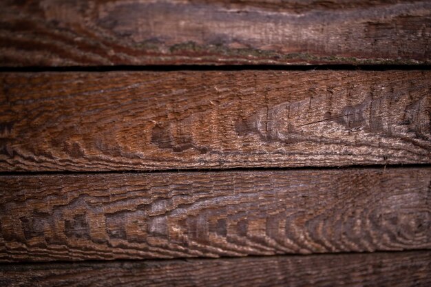 Un mur en bois avec une feuille verte dessus