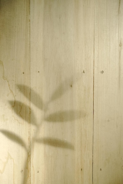 Mur en bois à l'ombre de la plante