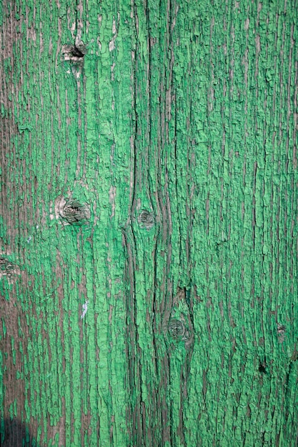 Un mur en bois vert avec un nœud dedans