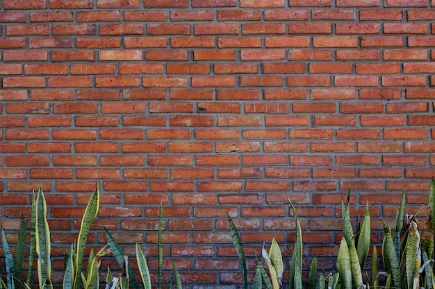 Mur de brique rouge et marron moderne