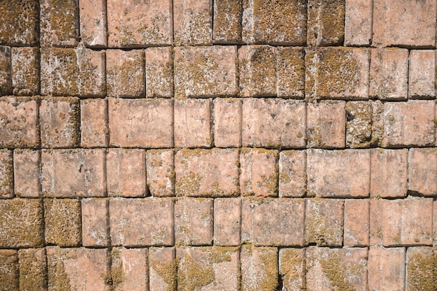 Le mur de briques a l'air vieux, le temps a passé.