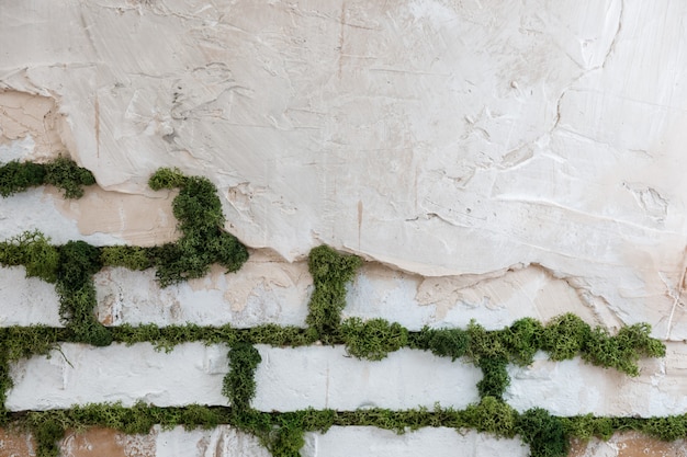 Mur de briques blanches décoratif avec de la mousse