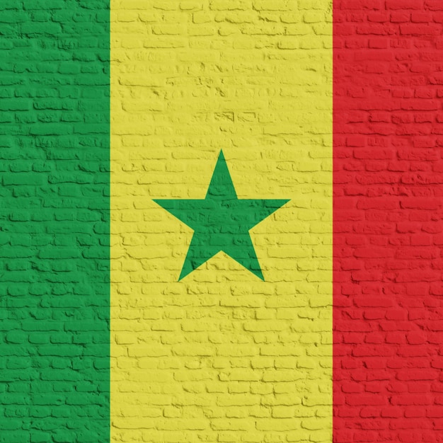 Mur de briques avec le drapeau du Sénégal