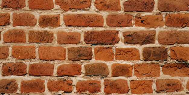 Un mur de briques avec un fond blanc et une brique noire et rouge.