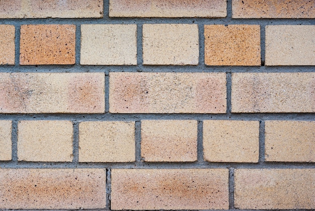 Mur de briques jaune pastel clair se bouchent