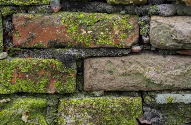 Mur de briques avec des lichens Texture de fond