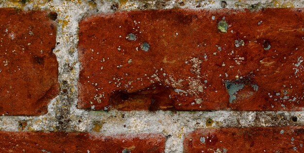 Un mur de briques avec une tache verte dessus