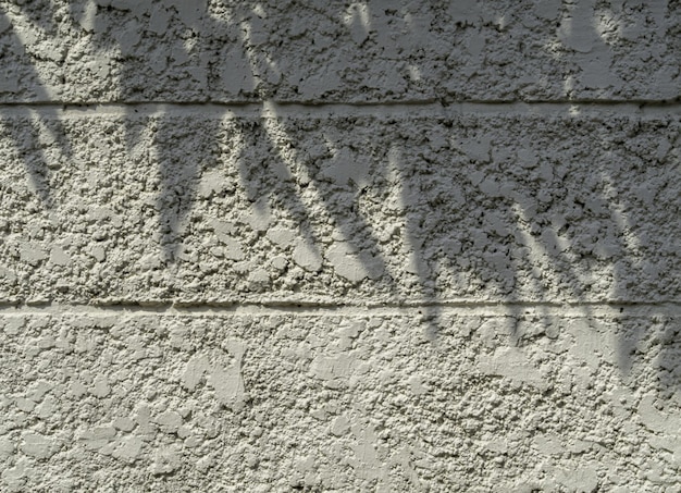 mur de ciment extérieur blanc surface rugueuse et l'ombre des feuilles texture inégale