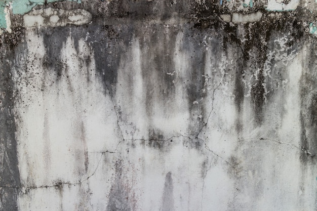 Mur de ciment de peinture blanche texture gros plan grunge.