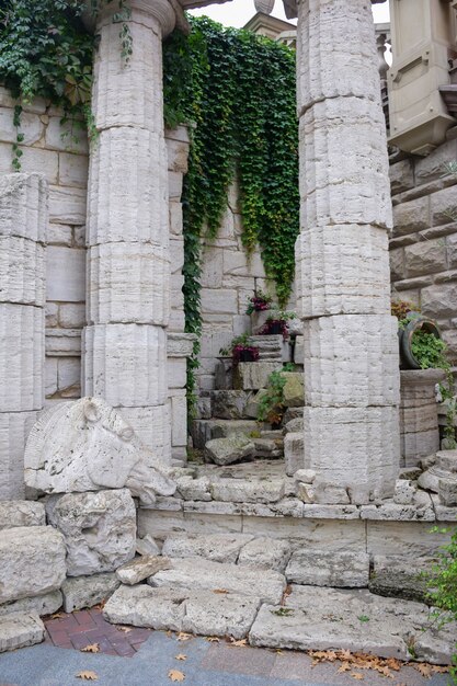 Mur décoratif d'un ancien bâtiment en pierre avec une surface couverte de vigne et deux colonnes