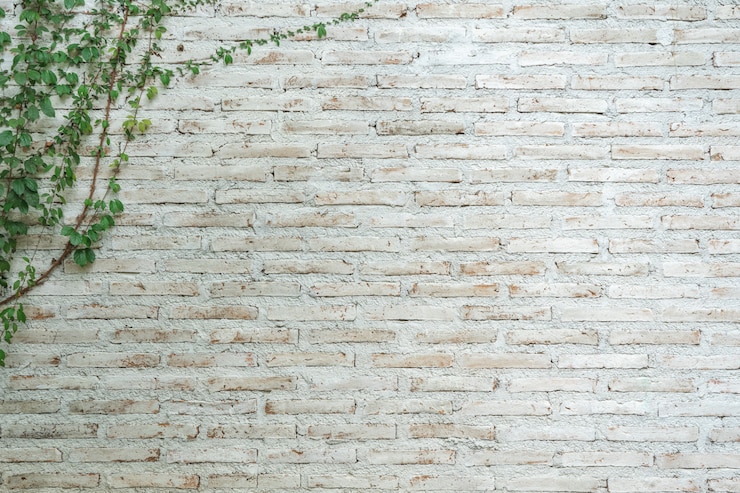 Photo le mur est en brique puis peint en blanc.