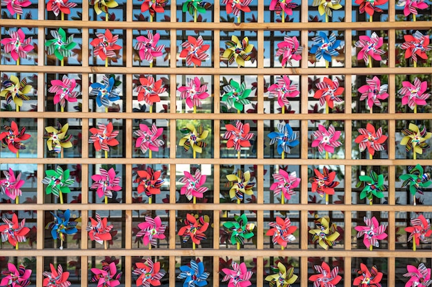 Un mur de fleurs colorées avec le mot fleur dessus