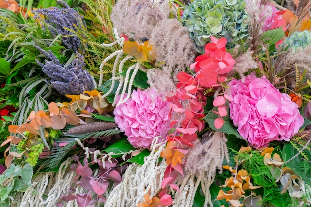 Mur de fleurs et d&#39;herbes.