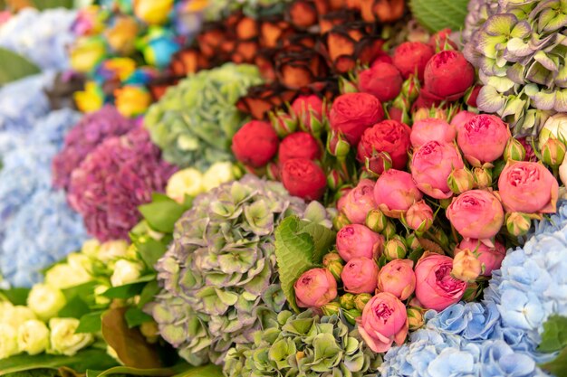 Mur de fleurs et d&#39;herbes.