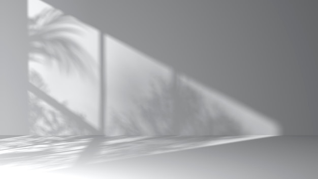 Mur de fond monotone avec rendu 3d d'ombres de feuilles de palmier