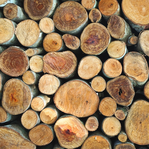 mur de fond de souche de bois