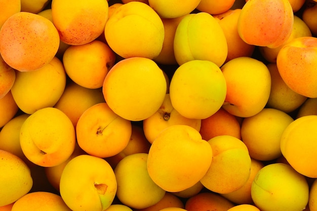 Mur de fruits mûrs juteux abricots orange.