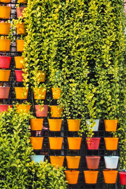 mur de jardin vertical