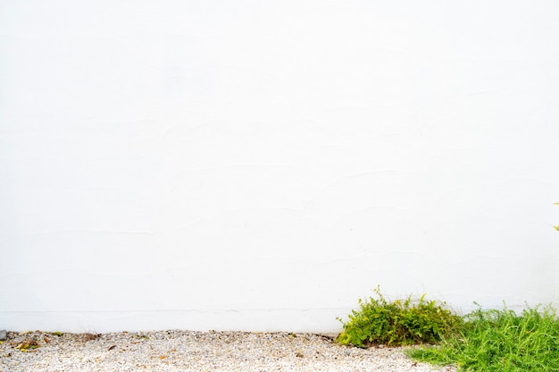 Mur lumineux blanc avec extérieur vert