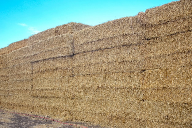 Mur de paille pressée contre le ciel