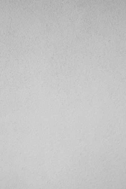 Mur de peinture de surface en pierre de béton blanc vertical