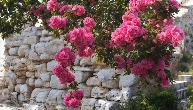 un mur de pierre avec des fleurs roses qui y poussent