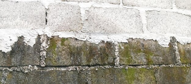 un mur de pierre avec une mousse verte dessus