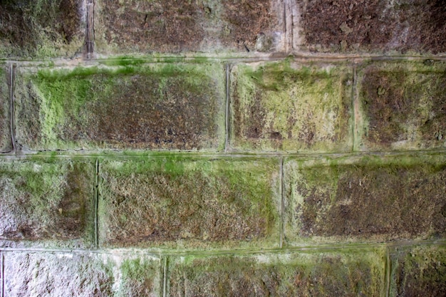 Mur de pierre avec de la mousse verte.