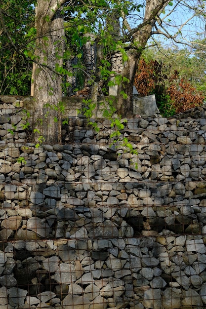 Un mur de pierre avec un mur de pierre et un arbre en arrière-plan.