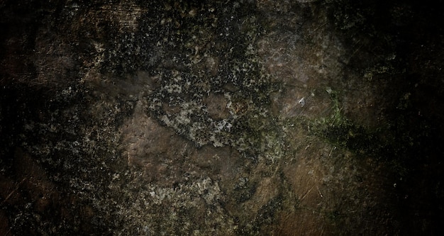 Un mur de pierre avec un rocher moussu et une surface moussue verte.