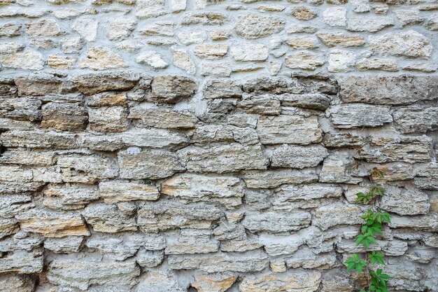 Mur de pierre texture de fond