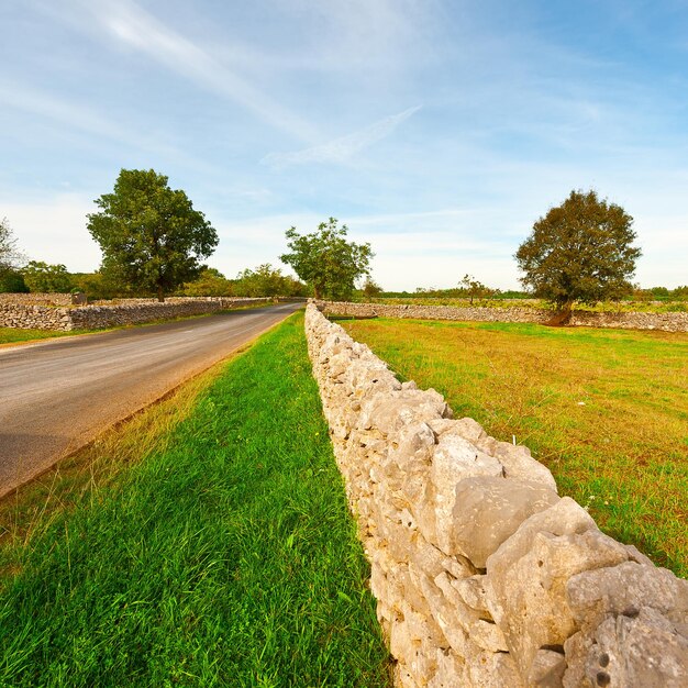 Le mur de pierre