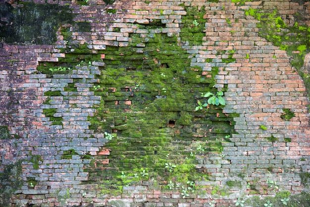 Mur de pierre