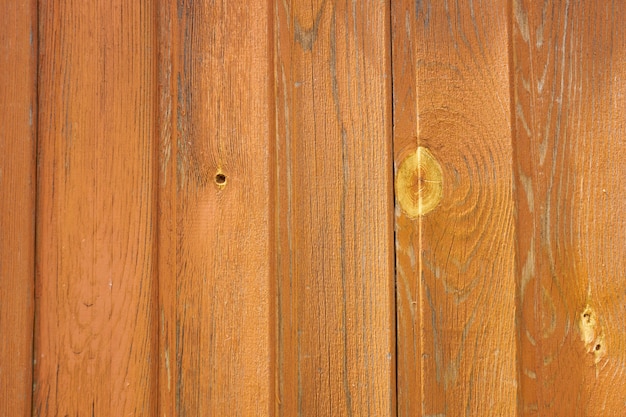 Un mur de planches de bois peintes en arrière-plan.