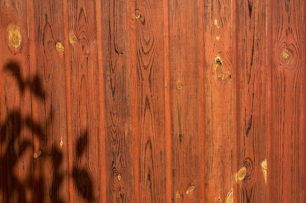 Un mur de planches de bois peintes en arrière-plan.