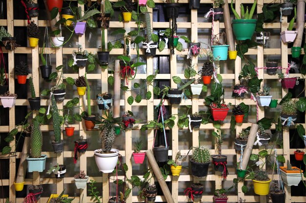 Un mur de plantes en pot avec un arc rose.