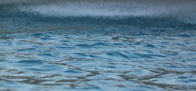 mur de rondins sur l'eau