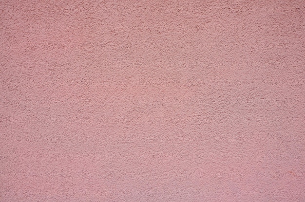 Un mur rose avec un panneau noir et blanc qui dit "rose" dessus