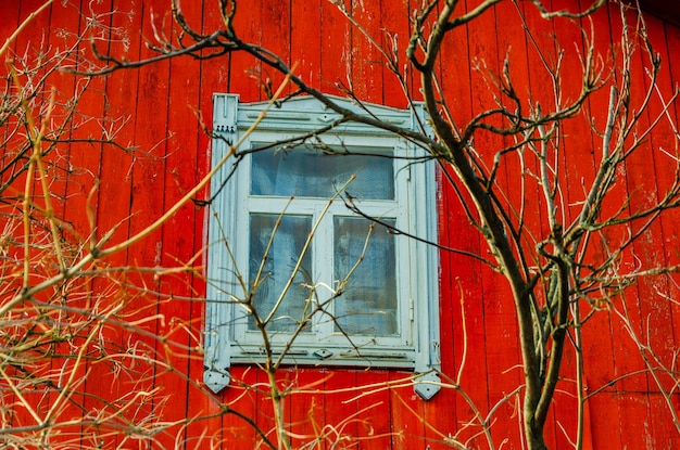 Un mur rouge avec une fenêtre et des branches au premier plan.