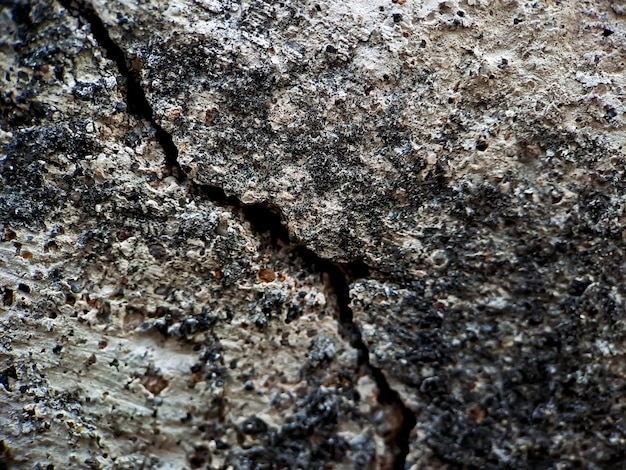 Photo mur rugueux de texture fissurée fond de mur gris blanc de ciment adapté à l'affichage de brochures de bannières de produits en ligne