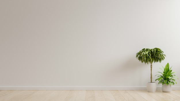 Mur vide salle blanche avec des plantes sur un sol.