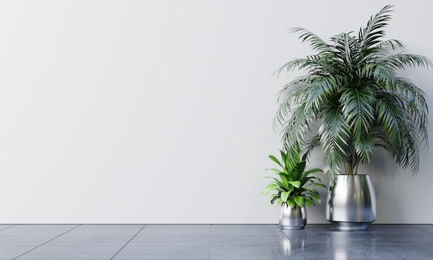 Mur vide salle blanche avec des plantes sur un sol.