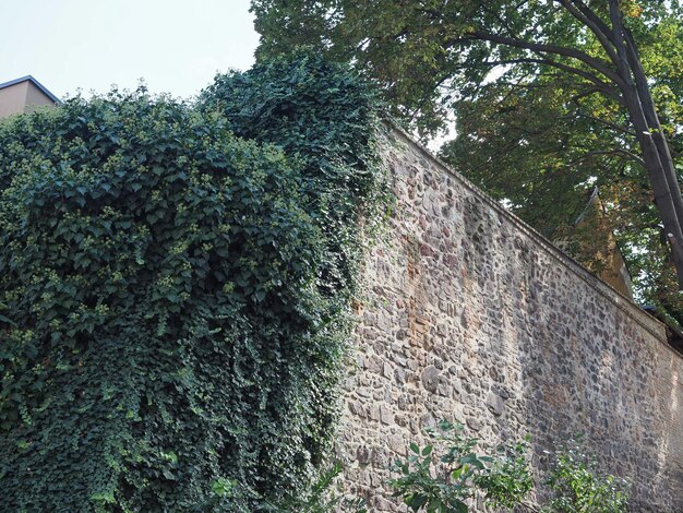 Mur de la vieille ville de Brno