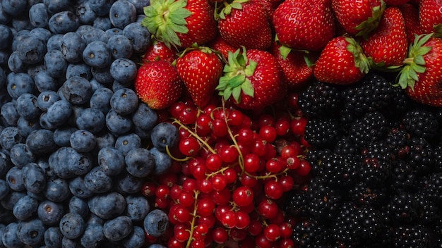 Mûre, framboise, myrtille, groseille rouge isolé sur fond blanc. Vue de dessus.