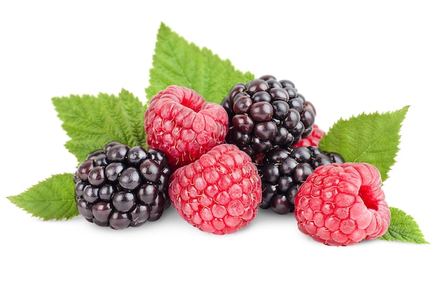 Mûres et framboises avec des feuilles sur un fond blanc isolé