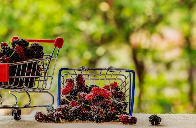 Mûrier dans un panier en acier inoxydable.