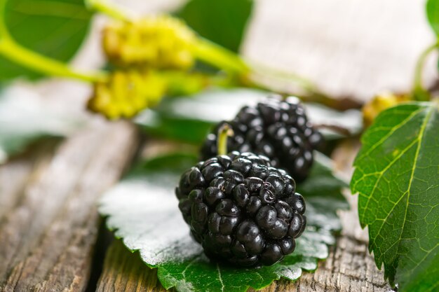 Mûrier noir mûr sur table en bois dans le jardin